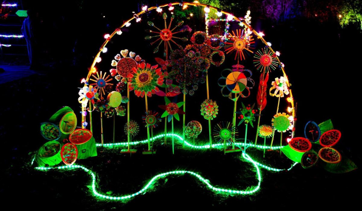 Light at the Farm 2025