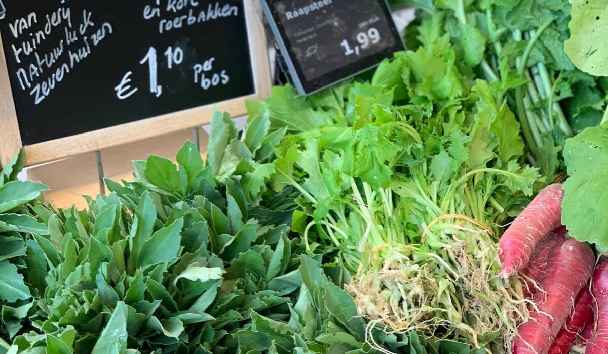 486147662 1210942087707282 7040324753036401071 n