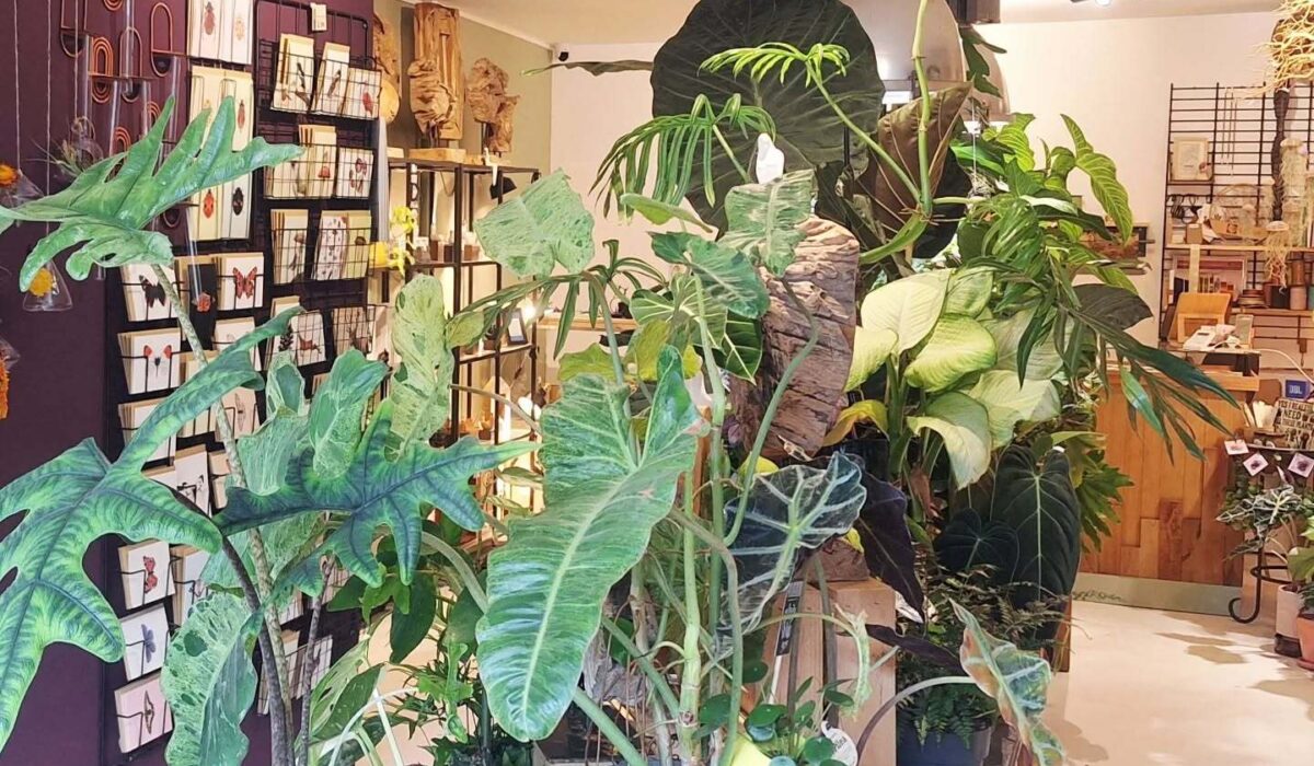 559010855 18059485928434374 5419845895473512486 n