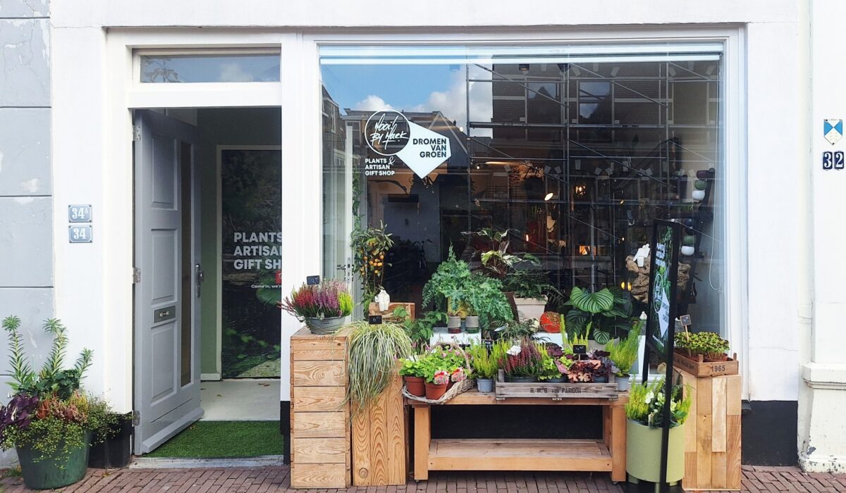 561277444 1243721651116692 3807857151263635300 n