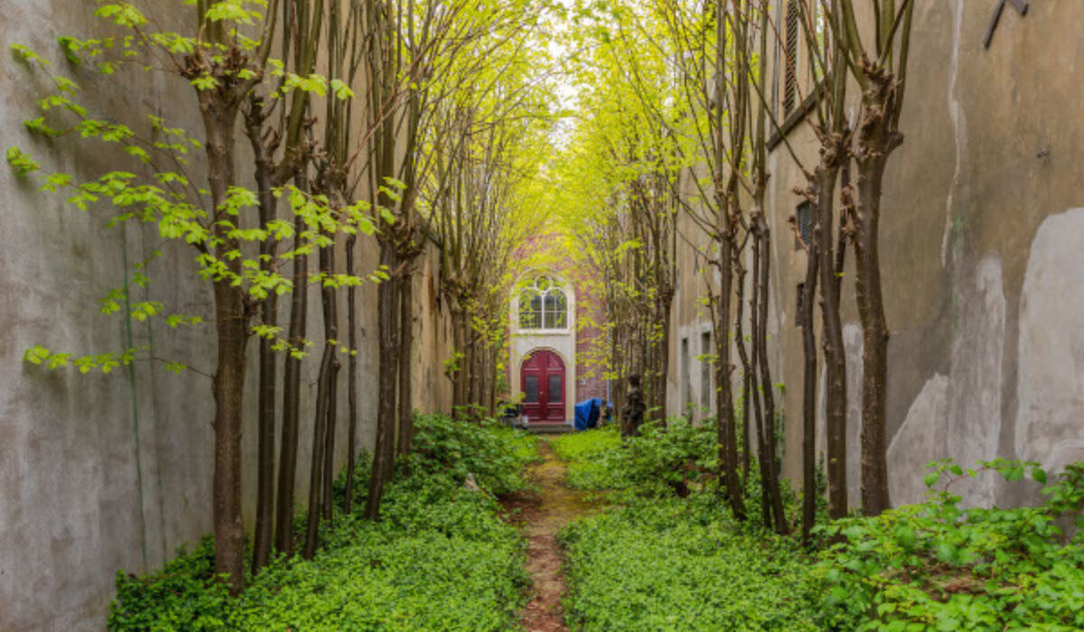 Instapwandeling Poortjes en Steegjes