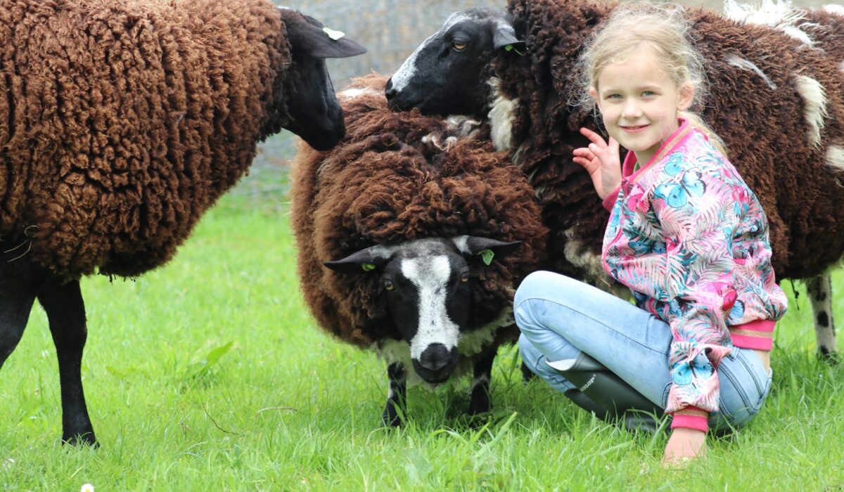 Degoudse hofsteden kinderboerderij gouda
