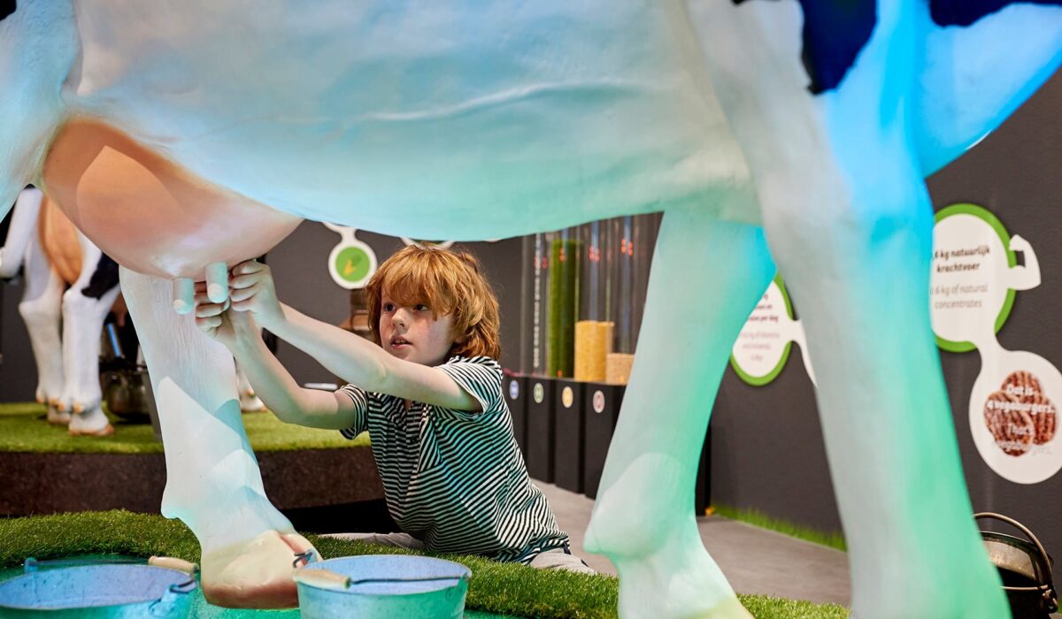 Expérience autour du fromage Gouda