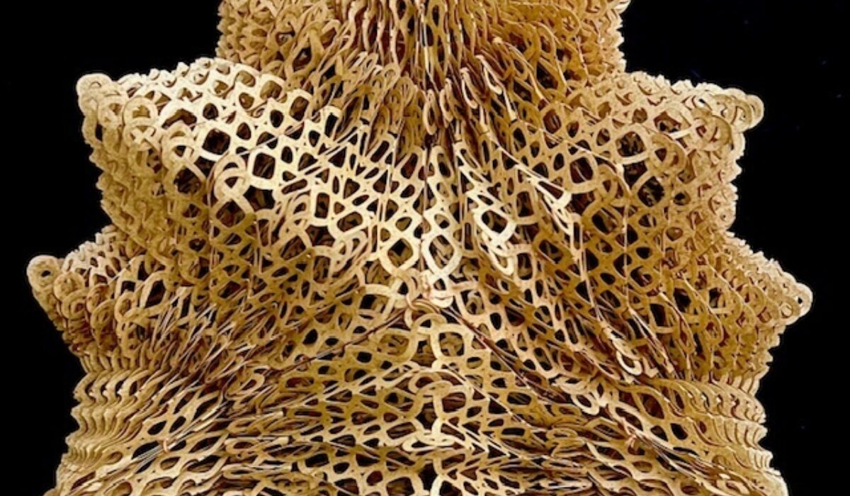 The unexpected power of paper art 2