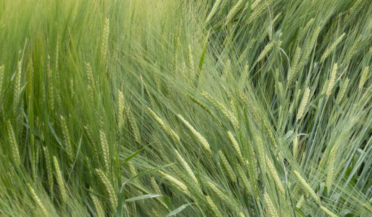 2b Fotoworkshop kunst helpt je om anders te kijken naar fotografie en jezelf