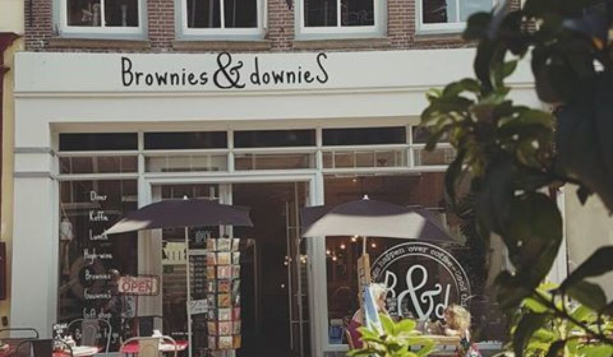 Brownies &amp; Downies 1