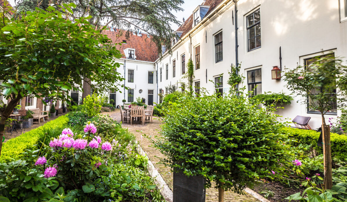 Patio Willem Vroesenhuis