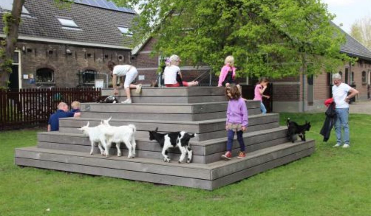 De nombreuses activités à la ferme pédagogique pendant les vacances d'automne