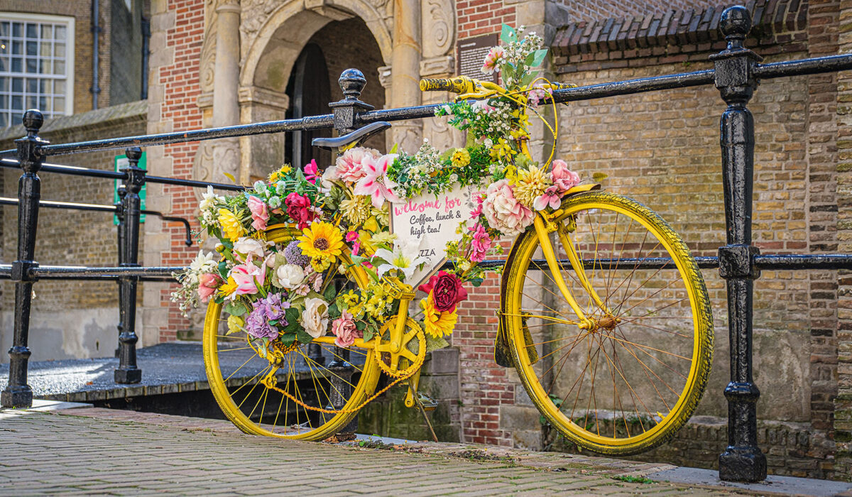 LIMA PHOTOGRAPHY GOUDA 2023 7336 website