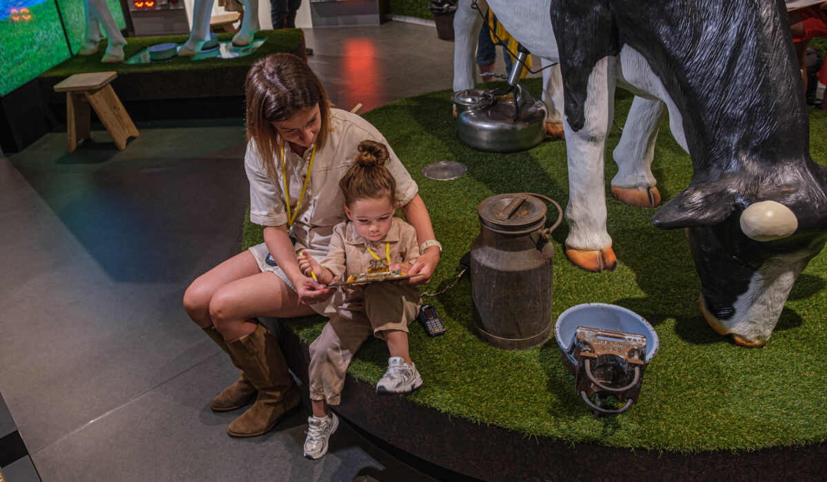 Expérience du fromage Gouda 2