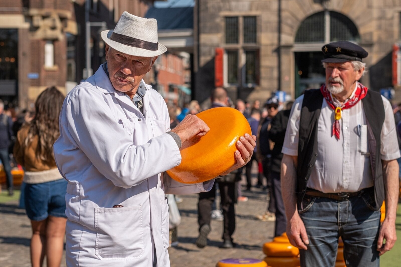 CHEESE MARKET 03/04/2025 7888