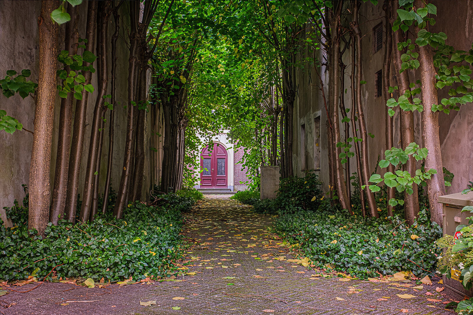 LIMA PHOTOGRAPHIE LIMA PHOTOGRAPHIE BANQUE D'IMAGES CENTRE-VILLE DE GOUDA 07 2023 0511 HDR
