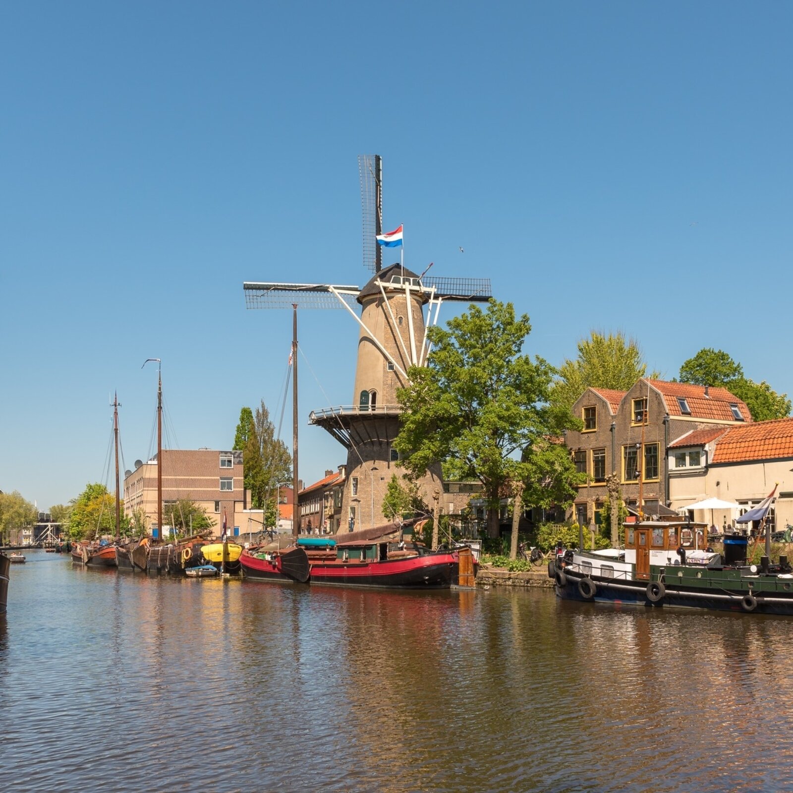 492518370 1113407620827816 4208593046219838854 n