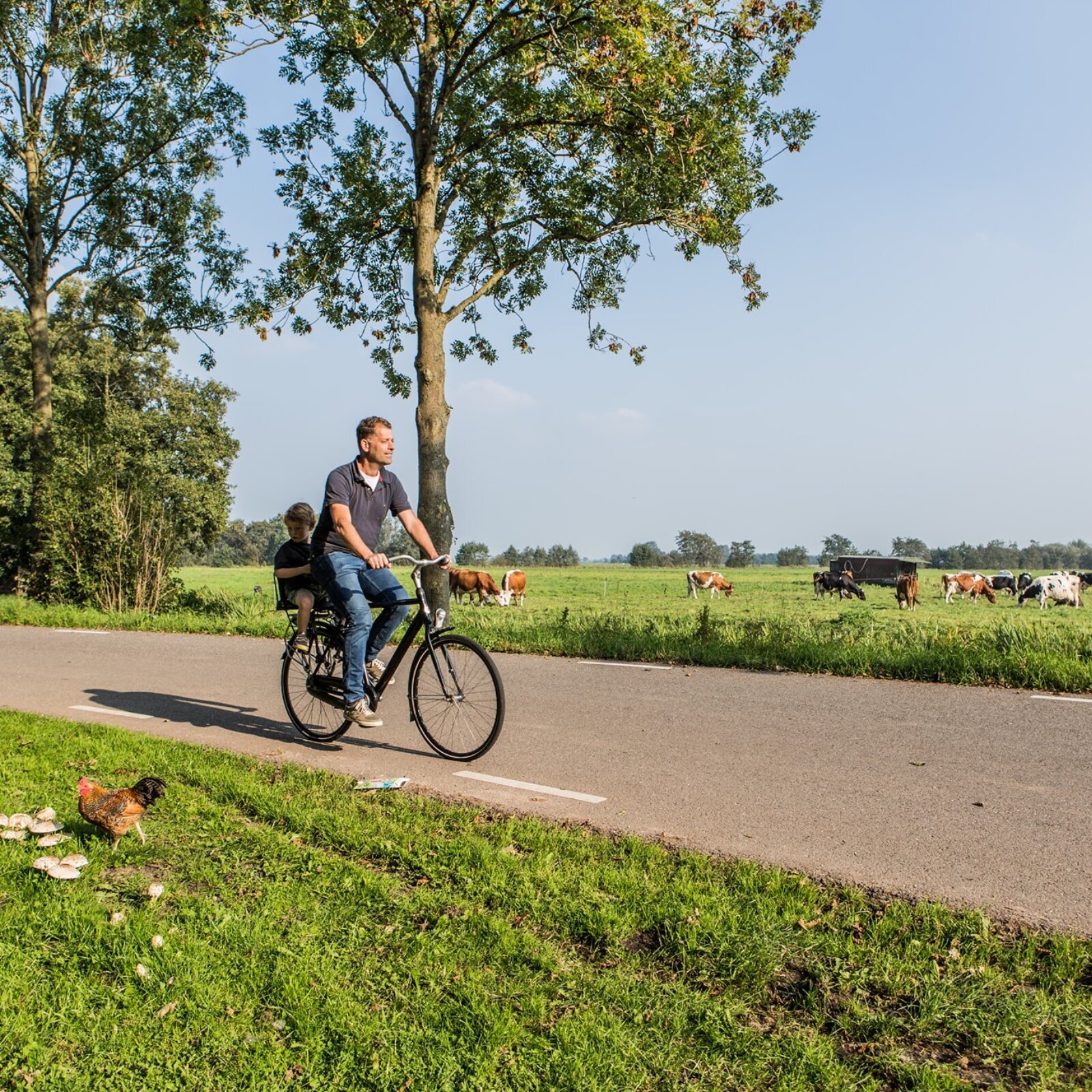 Radfahren in Gouda 1