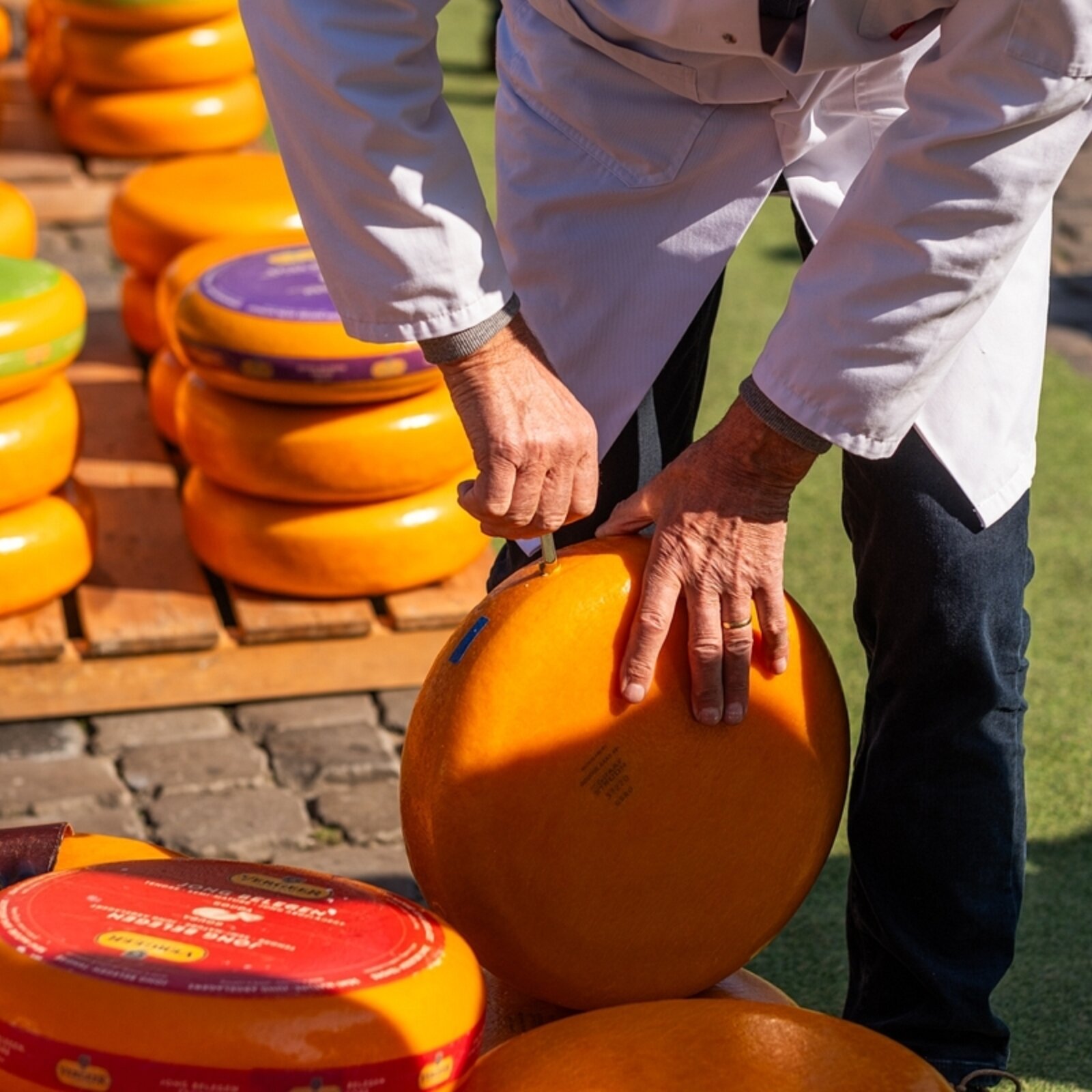 MERCADO DEL QUESO 03/04/2025 7865