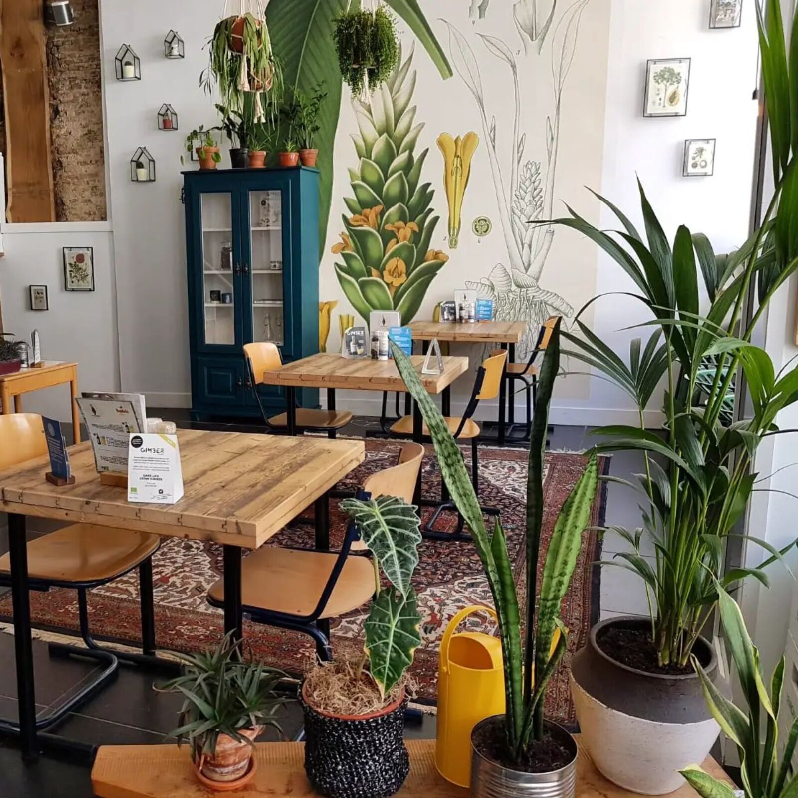 Curcuma Gouda lunch café