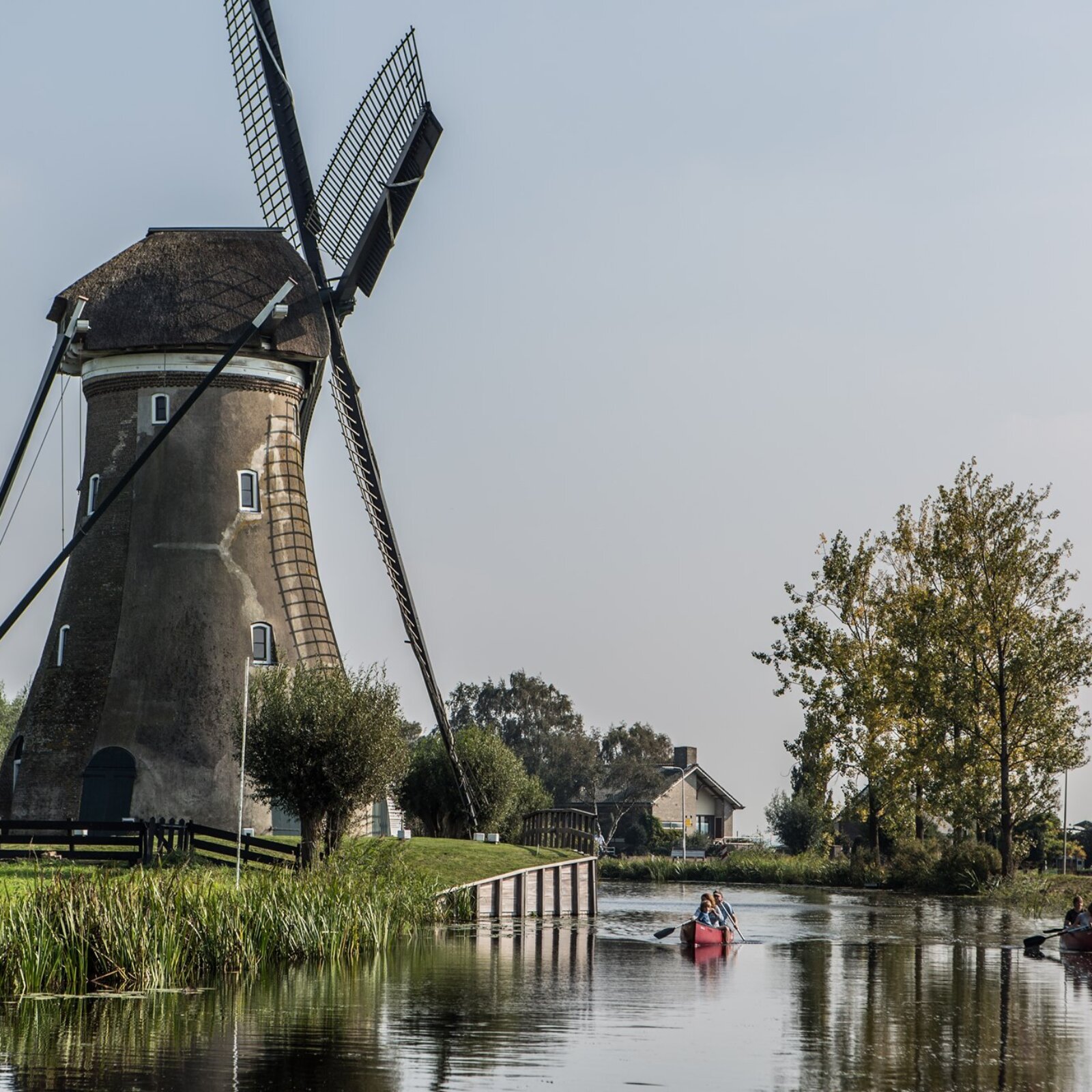 Les moulins de Gouda