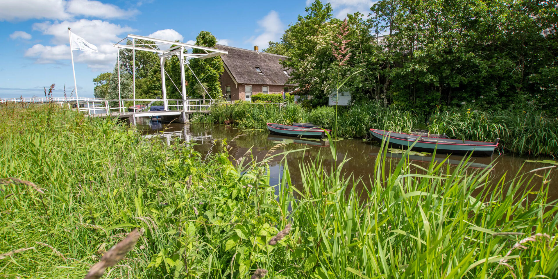 20220610 mariahoeve 44 1