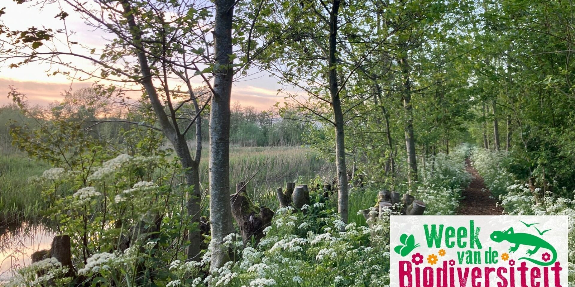 Découvrez la riche nature de la région des prairies marécageuses
