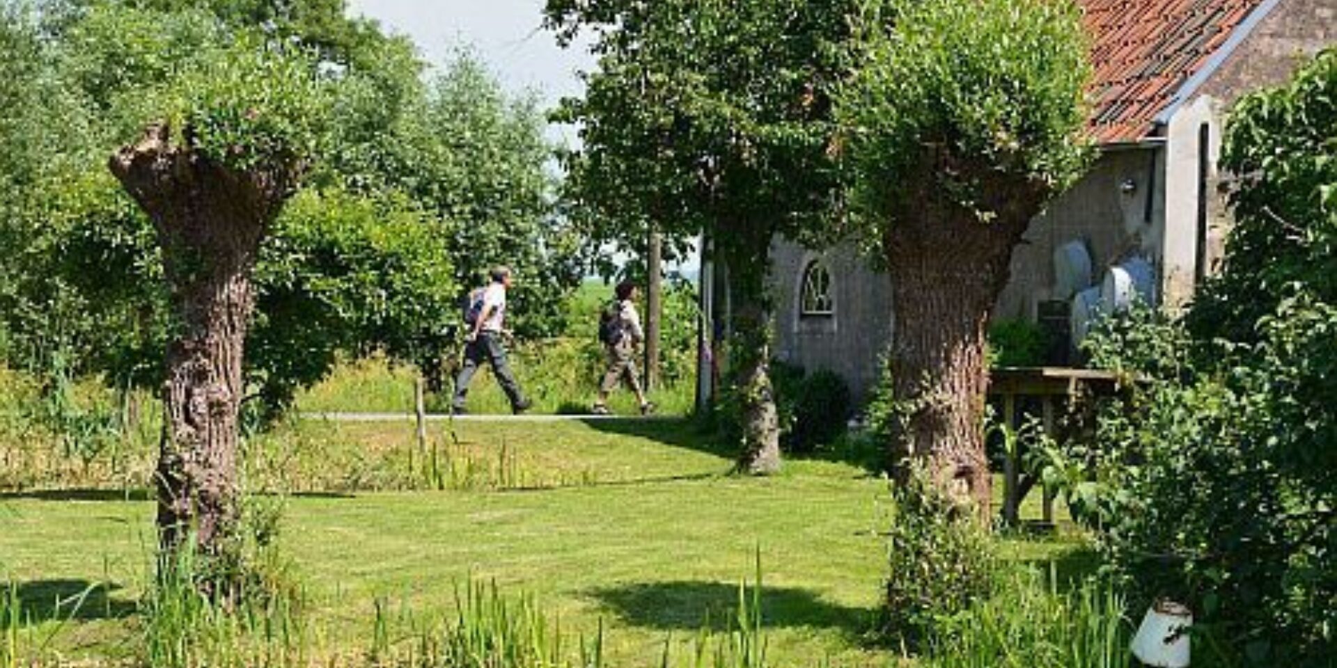 Errer dans le pays de Stein