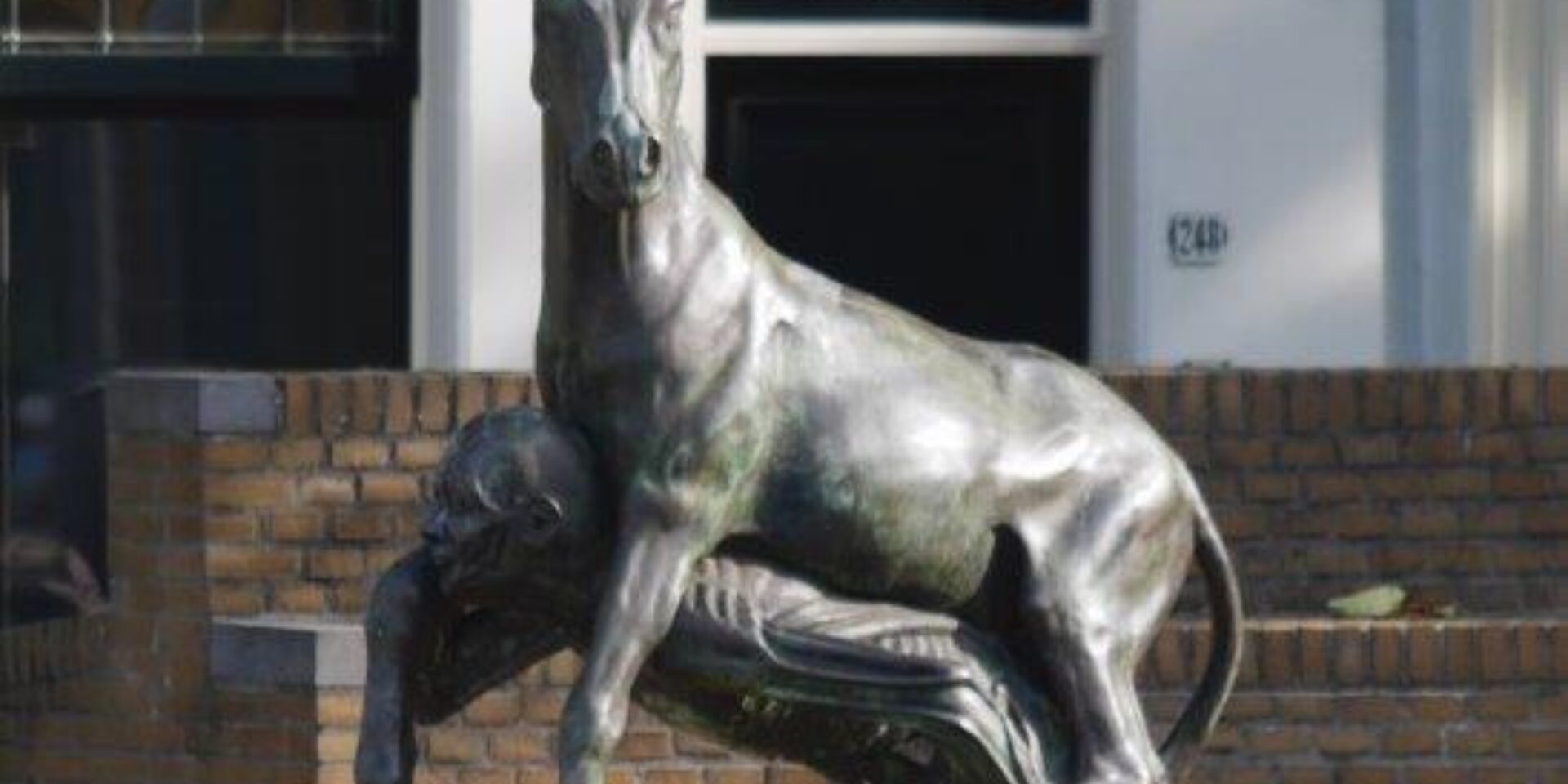 Gouda en tant que musée animalier - 3,5 km