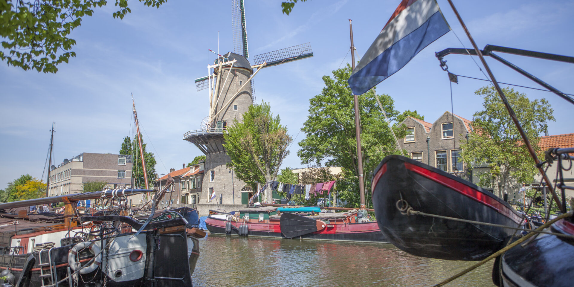 Korenmolen De Roode Leeuw - Uitgelicht