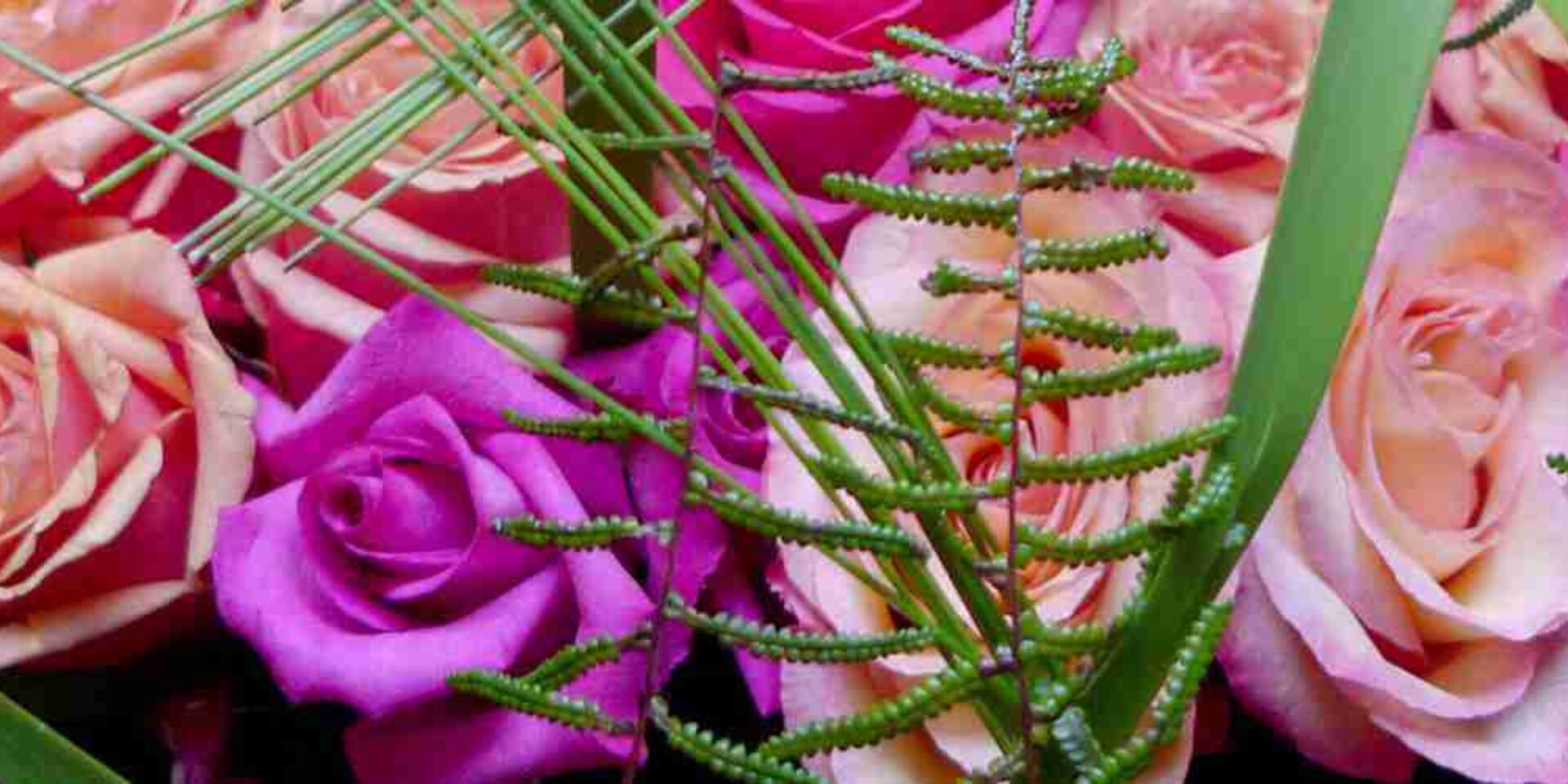 Blomatelier - Uitgelicht