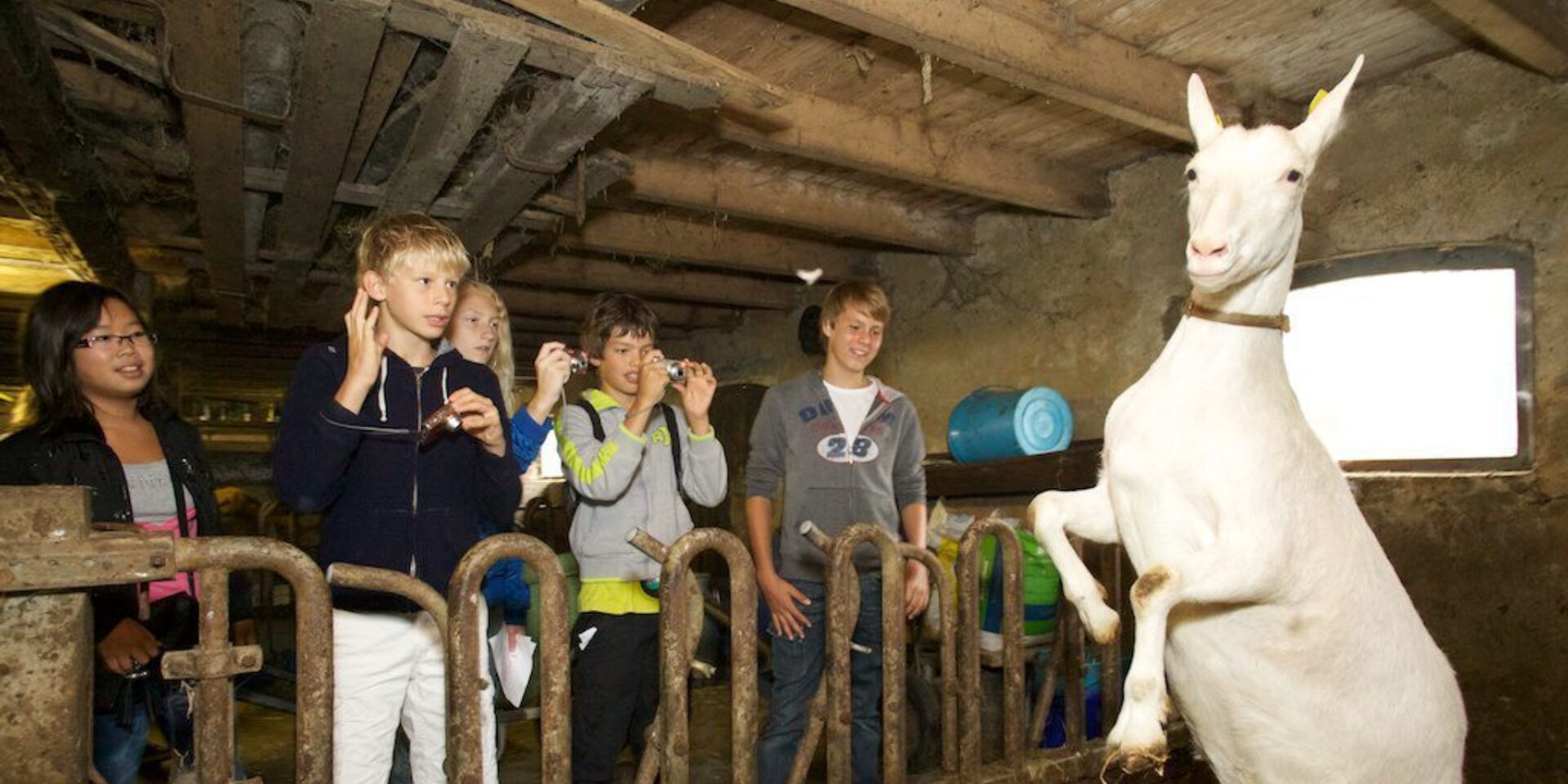 Fromagerie « ’t Klooster »