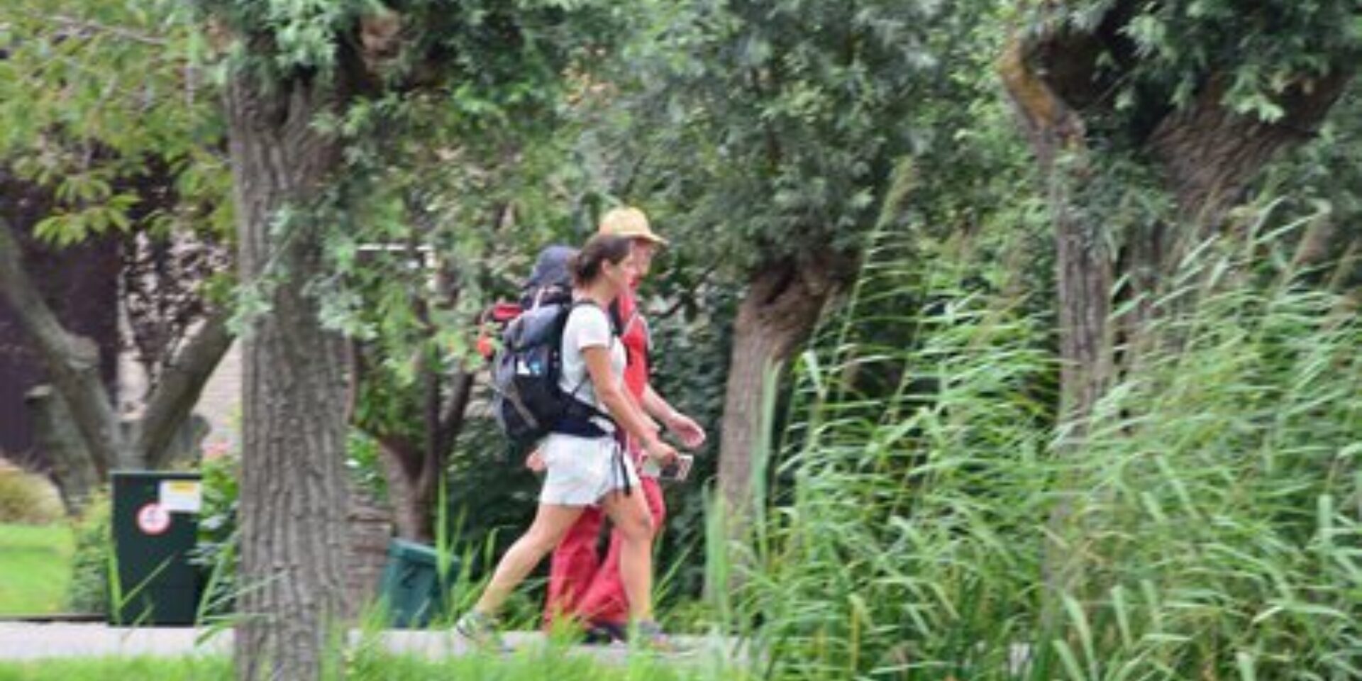 Wandern durch die Waard