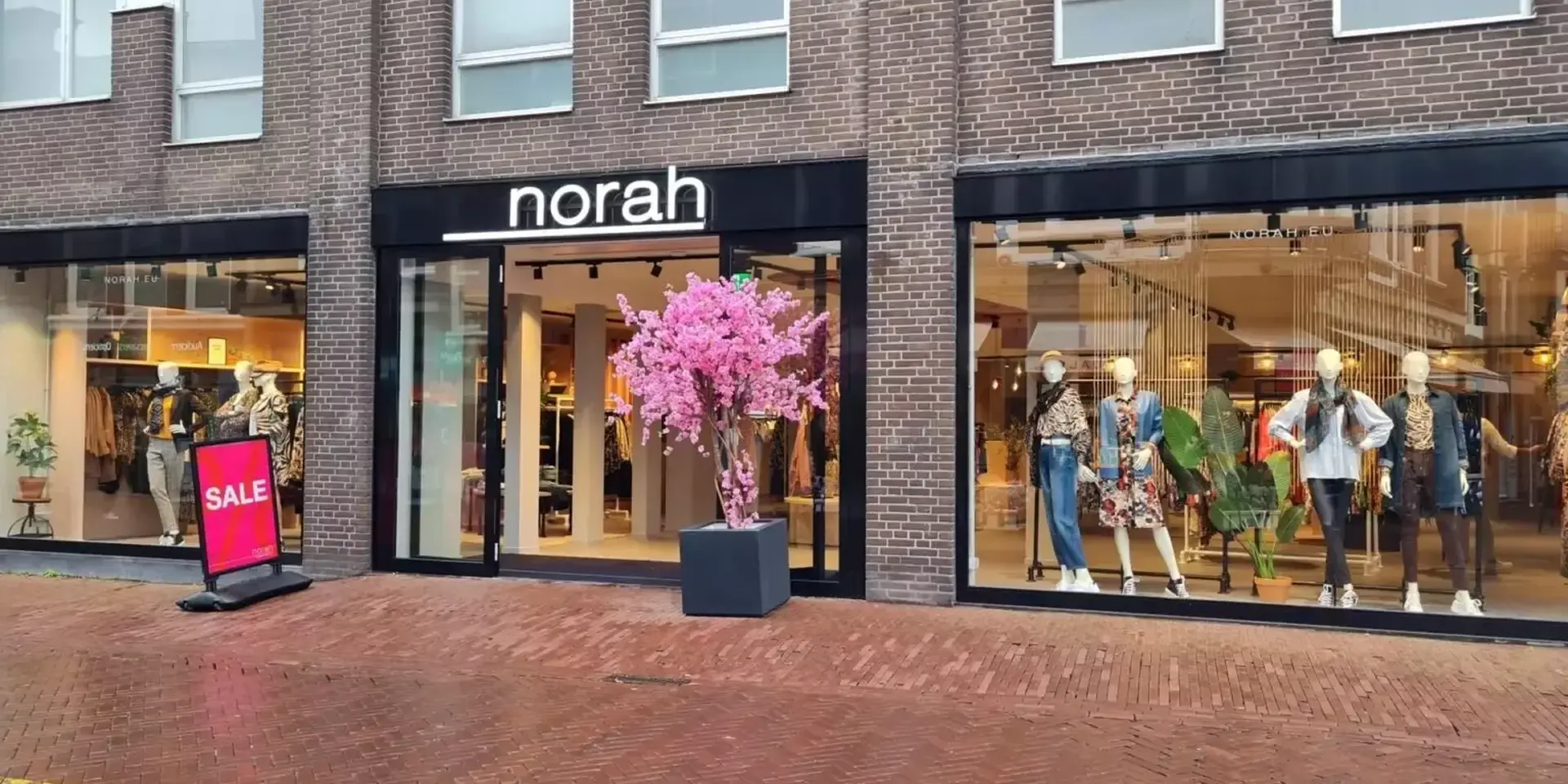 Norah - Uitgelicht