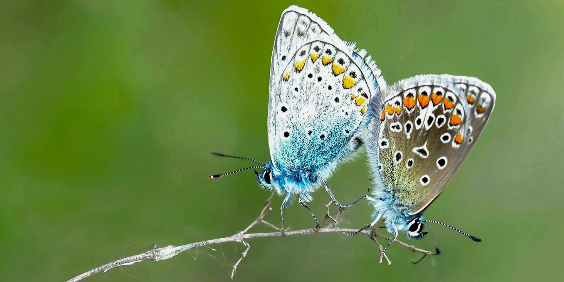 1440x10802026 04 09 Jan Spoel Zärtliche Verbundenheit 2 A2 1