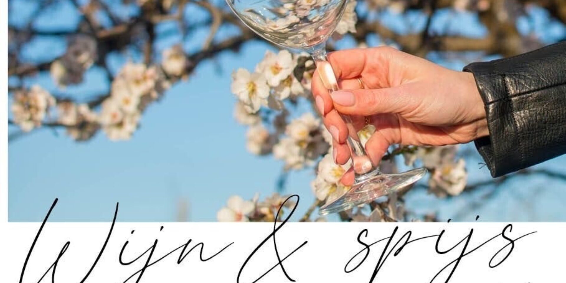 Wein- und Speisenverkostung