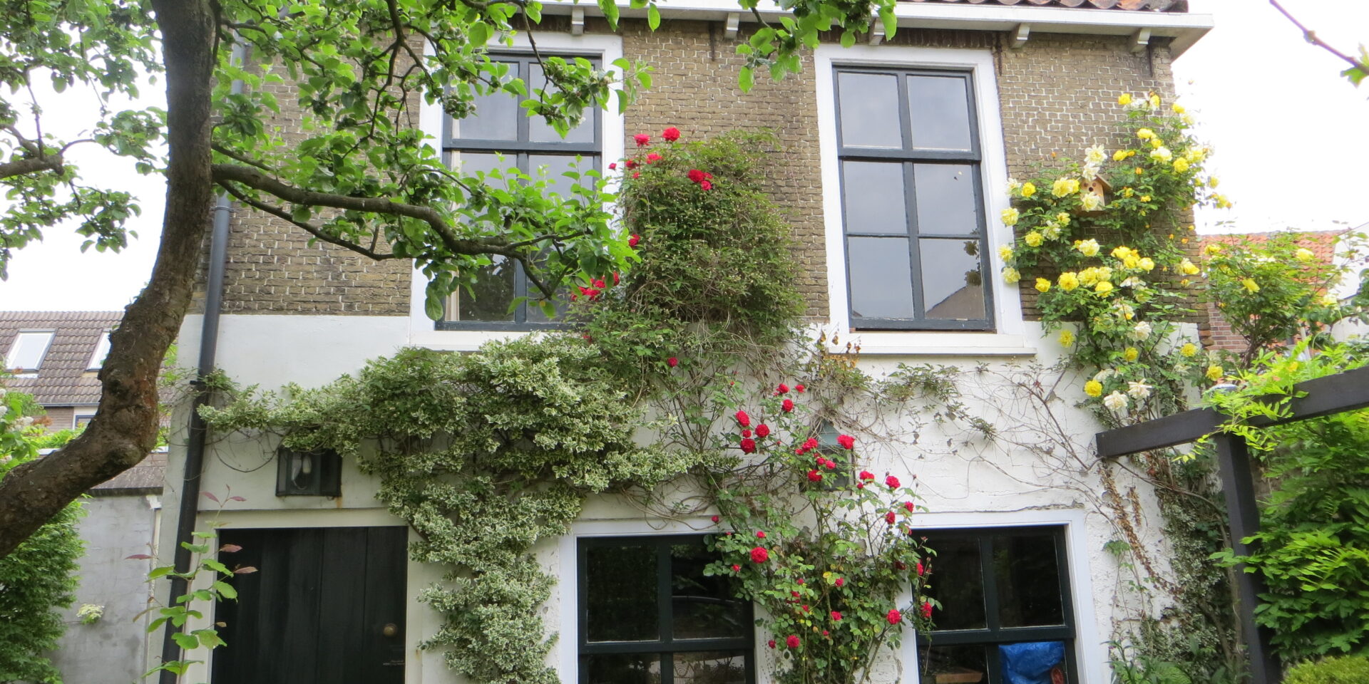 BnB The Apple Tree Cottage