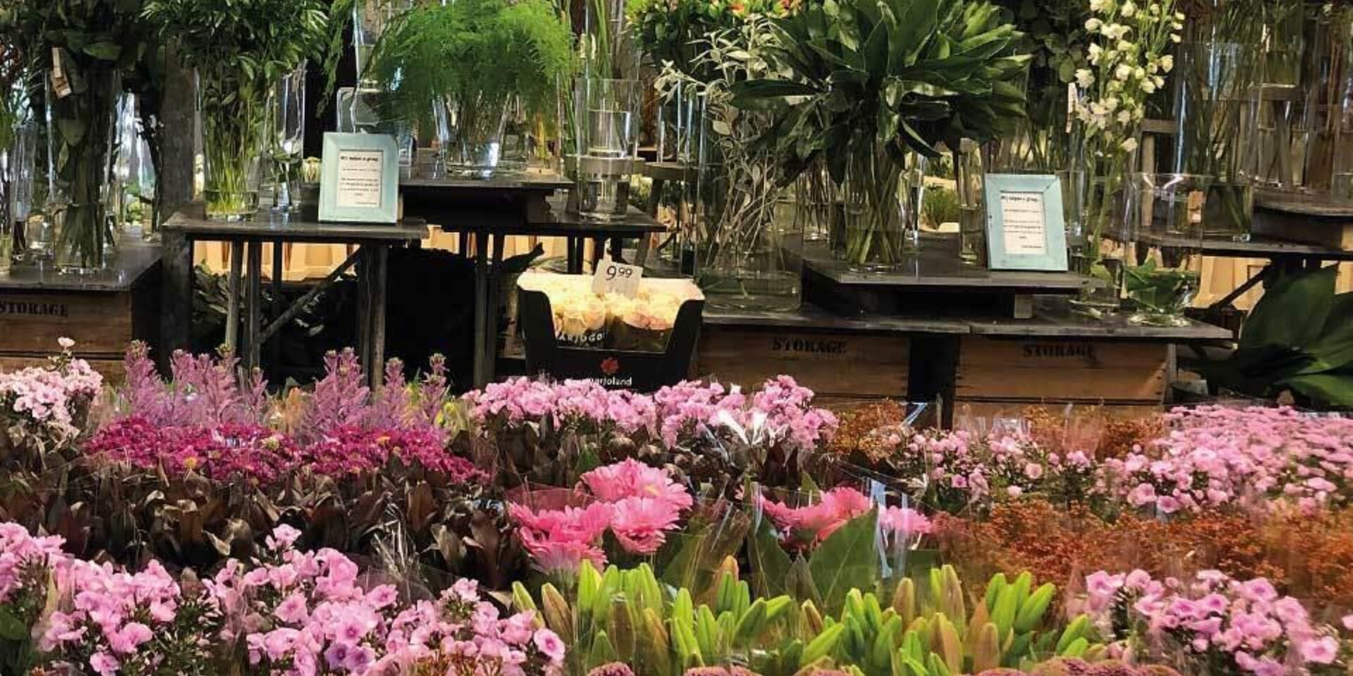 Slingerland Blumen Gouda