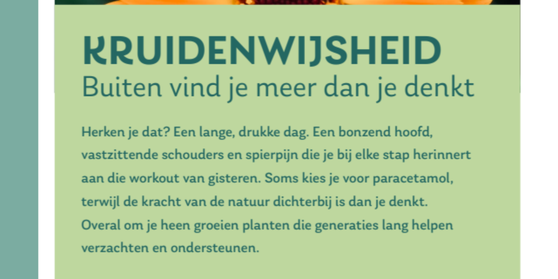 Kruidenwijsheid flyer A5 v4 1