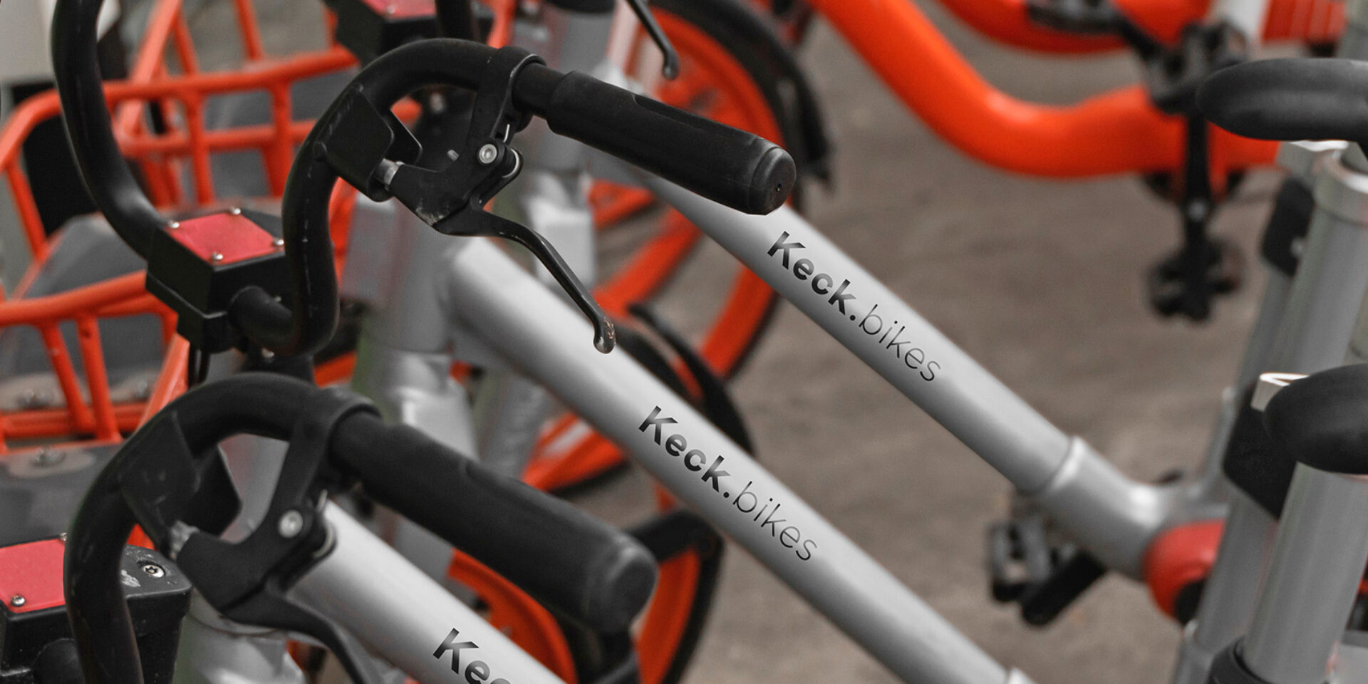 Bicycle rental Gouda