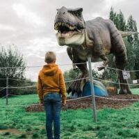 Dino Experience Park 1