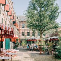 484917477 9468126276577727 5309912271943435146 n