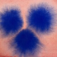 648095896 122176728524758867 928540518862836726 n