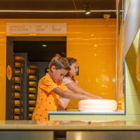 Gouda-Käse-Erlebnis 1