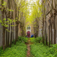Instapwandeling Poortjes en Steegjes
