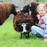 Degoudse hofsteden kinderboerderij gouda