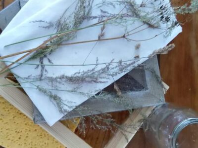 Workshop Papier herstellen – Im Rampenlicht