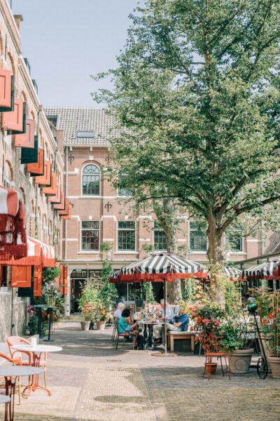 484917477 9468126276577727 5309912271943435146 n