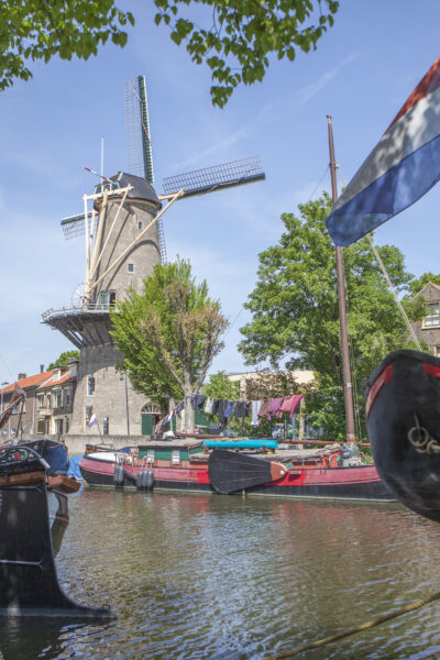 Korenmolen De Roode Leeuw - Uitgelicht