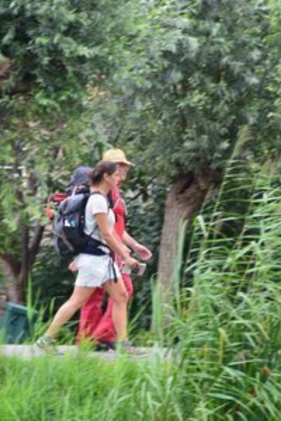 Errant dans le Waard