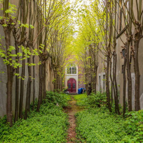Instapwandeling Poortjes en Steegjes