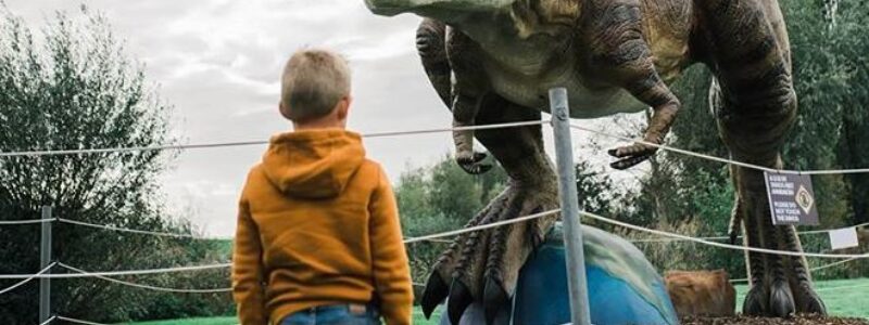 Parc Dino Experience 1