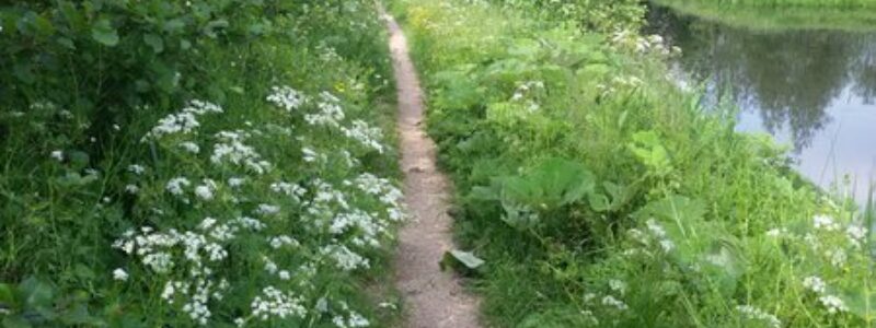 Wandering between Gouwe and Wiericke