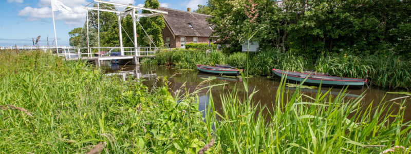 20220610 mariahoeve 44 1